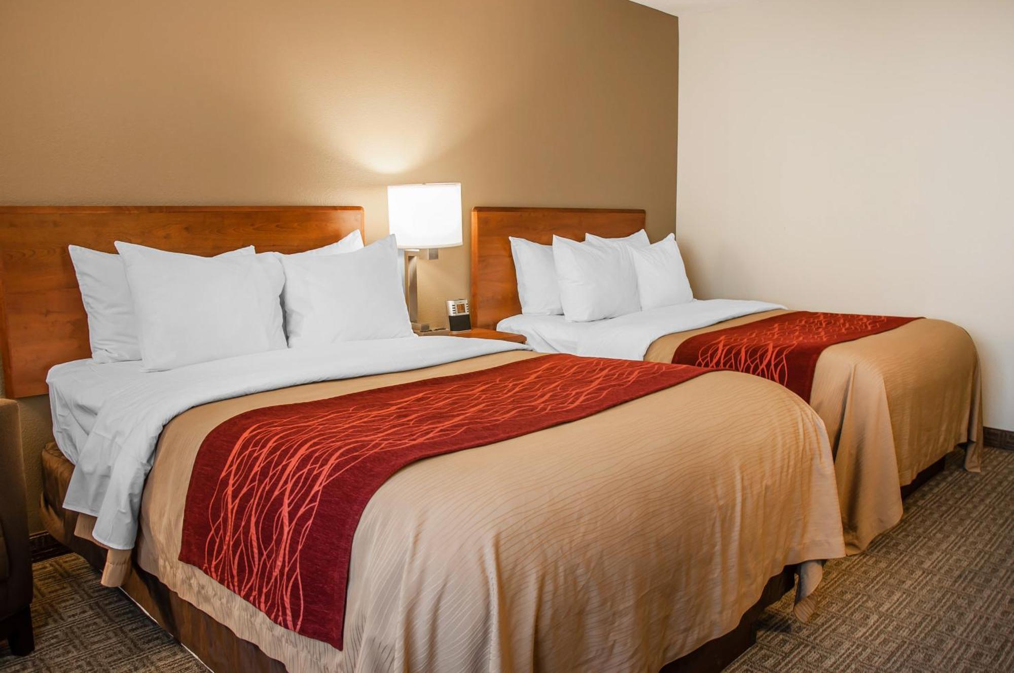 דיקינסון Comfort Inn מראה חיצוני תמונה